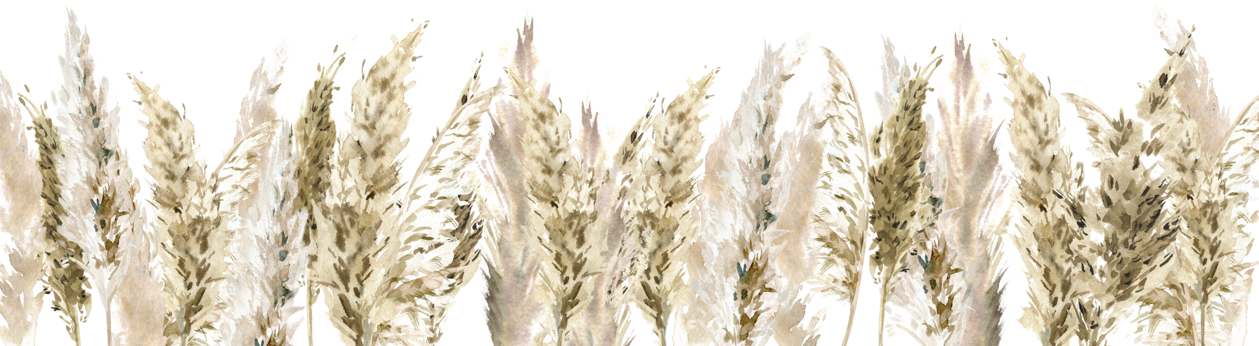 Watercolor pampas grass border