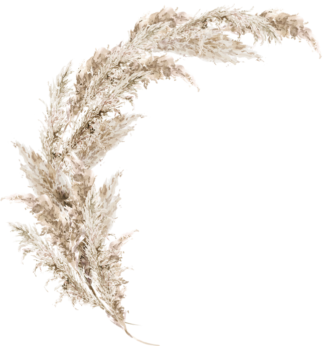 Watercolor Pampas Grass floral neutral beige bouquet